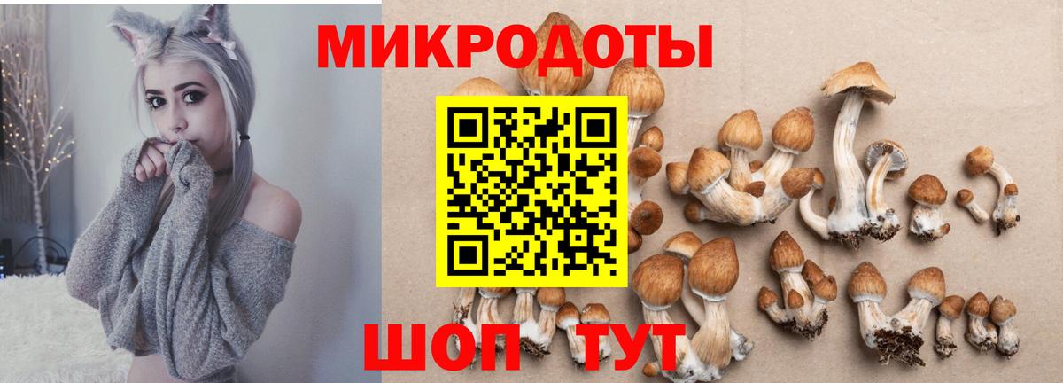 Галлюциногенные грибы мицелий Рыбинск